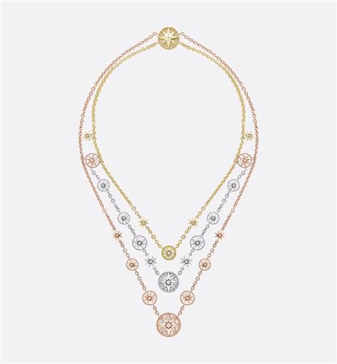 dior rose des vents prix
